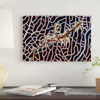 East Urban Home Ornate Ghost Pipefish On A Sea Fan, New Ireland, Papua New Guinea by Bruce Shafer - Wrapped Canvas Galle