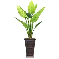 Vintage Home Panama Aaru Philodendron Plant in Planter