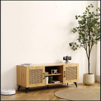 Bay Isle Home™ TV Cabinet With Rattan Net - Perfect For Family Entertainment Room