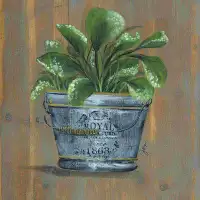 Rosalind Wheeler Pretty Plant In Pail - Wrapped Canvas Painting