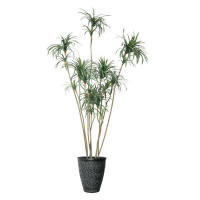 Vintage Home 108"H Vintage Real Touch Dragon Tree, Indoor/ Outdoor,  In Pot With Rope Basket (46X46x98"H)