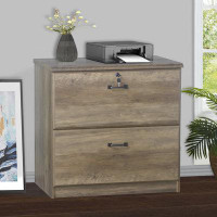 Laurel Foundry Modern Farmhouse Summy 2-Drawer Lateral Filing Cabinet