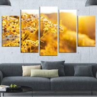 Design Art 'Bright Yellow Rural Garden Flowers' 5 Piece Photographic Print on Wrapped Canvas Set