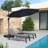 Purple Leaf 120'' Cantilever Umbrella with Crank Lift Counter Weights Included