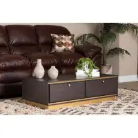 Latitude Run® Lefancy Dark Brown Finished Wood and Gold Metal 2-Drawer Coffee Table