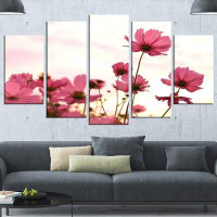 Made in Canada - Design Art 'Cosmos Flowers Meadow at Sunset' 5 Piece Photographic Print on Wrapped Canvas Set