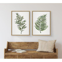 Bay Isle Home™ Natural Plant Leaf Framed On Canvas by Patricia Shaw Print