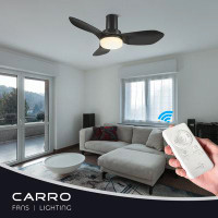 Wrought Studio 36-Inch DC Motor Ceiling Fan with light and Remote