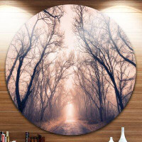 Made in Canada - Design Art 'Road Through Mystical Dark Forest' Photographic Print on Metal