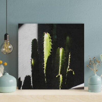 Foundry Select Green Cactus Plant In Close Up Photography 10 - 1 Piece Square Graphic Art Print On Wrapped Canvas