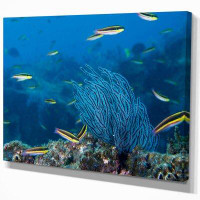 East Urban Home 'Gorgonia Coral on the Deep Blue Ocean' Photograph