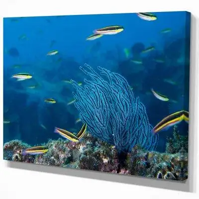 East Urban Home 'Gorgonia Coral on the Deep Blue Ocean' Photograph