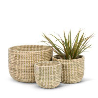 Bayou Breeze Set Of 3 Set Of 3 Natural And White Deep Basket Planters