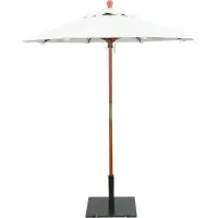Arlmont & Co. Kristy Replacement Canopy/Pole for 6' W Umbrellas