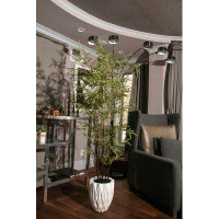 Vintage Home 92" Artificial Bamboo Plant in Planter