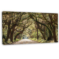 Made in Canada - Design Art Trees Tunnel in Botany Bay - Wrapped Canvas Photograph Print