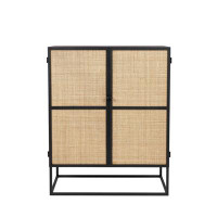 Luxury Furnitures Guuji Iron/Steel 2 - Door Accent Cabinet