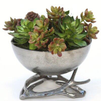 Foundry Select Mixed Succulent in Pot