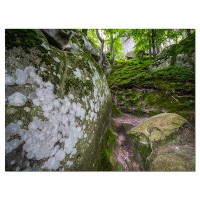 Made in Canada - Design Art Large Rocks in Deep Moss Forest Landscape - Wrapped Canvas Photograph Print