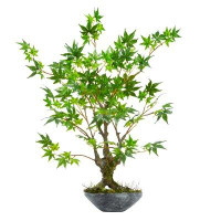 World Menagerie Artificial Bonsai Tree in Planter