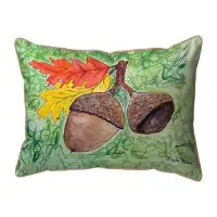 Winston Porter Drake''s Acorns Indoor/Outdoor Pillow