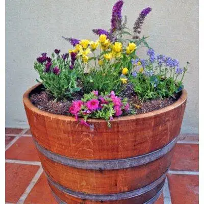 MGP Lacquer Finished Half Wine Barrel Planter, 26"W X 16"H