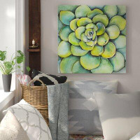 Made in Canada - Bungalow Rose 'Succulent Plant' Oil Painting Print on Wrapped Canvas
