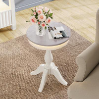 Ophelia & Co. Alleya 25.2'' tall End Table