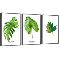 Bayou Breeze Plants Aluminum Framed Wall Art - 3 Piece Picture Aluminum Frame Print Set On Canvas_QS38-2