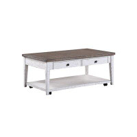 Sand & Stable™ Emmalyn Coffee Table with Storage