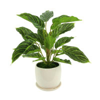 Primrue 17'' Faux Foliage Plant in Ceramic Pot