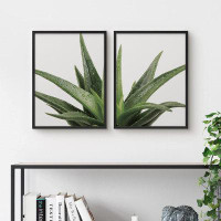 SIGNLEADER SIGNLEADER Framed Wall Art Collage Print Gallery Set Devil Horn Succulent With Water Botanical Plant Photogra