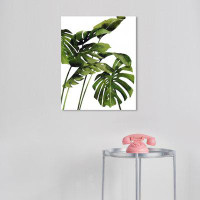 Wynwood Studio Floral And Botanical Palms II Monstera Plant Leaves Tropical White And Canvas Wall Art Print For Living R