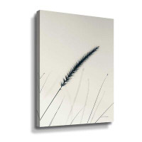 Gracie Oaks Field Grasses V Gallery Wrapped Canvas