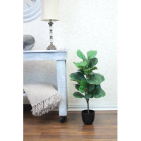 Primrue 50" Fiddle Leaf Fig Tree in 5.5" Plastic Pot (40 Leaf)"