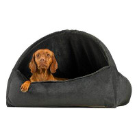 Tucker Murphy Pet™ Canopy Bed XL - Galaxy