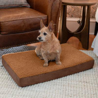 Tucker Murphy Pet™ Tucker Murphy Pet™ Cubbi Sherpa Dog Bed - Supportive Memory Foam and Waterproof Liner, Small - Grey &