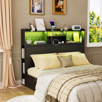 Wrought Studio 62" Queen Size Storage Headboard, Bookcase Headboard With Charging Station & Led Lights