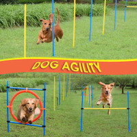 Pet Agility Set 45.25'' x 31.5'' x 45.25'' multi-colored