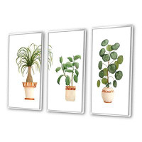 Design Art Trio Of House Plants Ponytail Palm And Ficus - Traditional Framed Canvas Wall Art Set Of 3