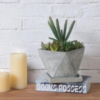 Union Rustic Ailee Indoor Geometric Design Cement Pot Planter with Saucer