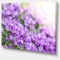 Made in Canada - Design Art Beautiful Campanula Flower Bouquet - Wrapped Canvas Photograph Print