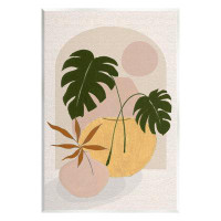 Stupell Industries Potted Monstera Plant Leaves Giclee Art By Janet Tava
