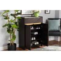 Latitude Run® Modern Contemporary Home Office Shoe Storage Cabinet DARK BROWN With Drawer And 2 Doors
