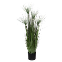 Highland Dunes Papyrus Snake Plant Grass in Pot