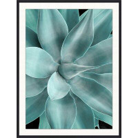 Wendover Art Group Bold Agave 2