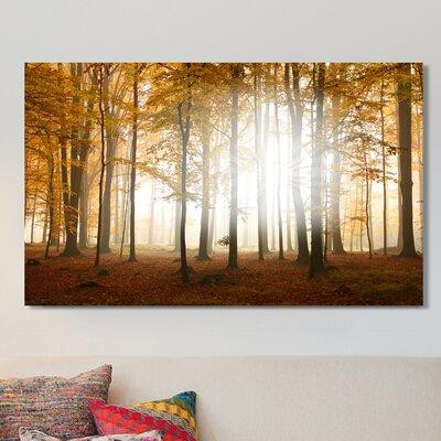 Picture Perfect International 'Fall' Photographic Print on Wrapped Canvas in Arts & Collectibles