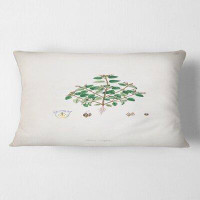 East Urban Home Vintage Plant Life XIII Floral Lumbar Pillow