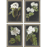 Darby Home Co Dramatic White Flower S/4