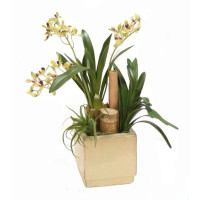 Primrue Vanda Orchids With Bamboo And Succulents In Beige Planter